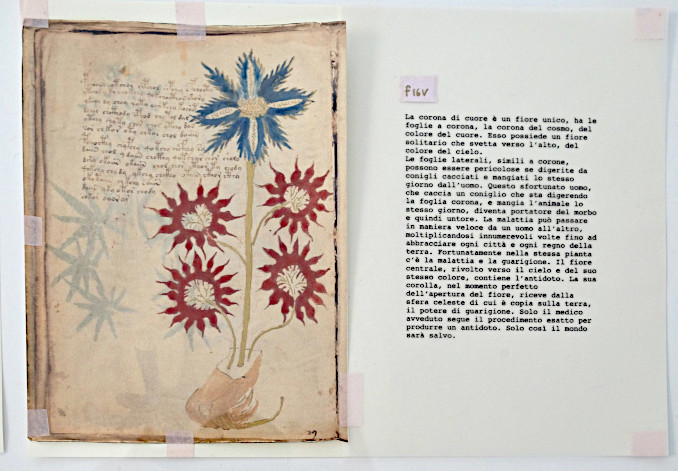 opera artistica Super Hu.Fo Voynich