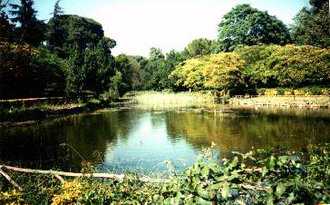 the larger lake in Villa Ada