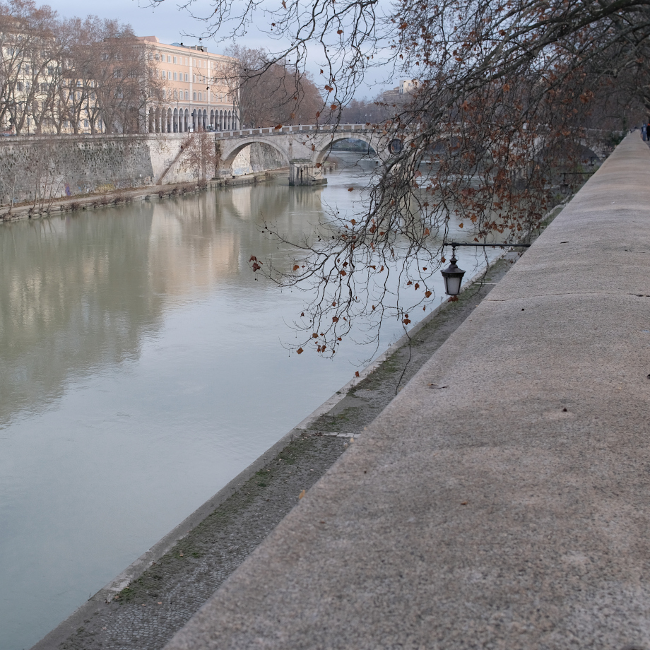 the Tiber in Rome