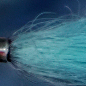 mid-top of picture taken at close distance, sharpened via software