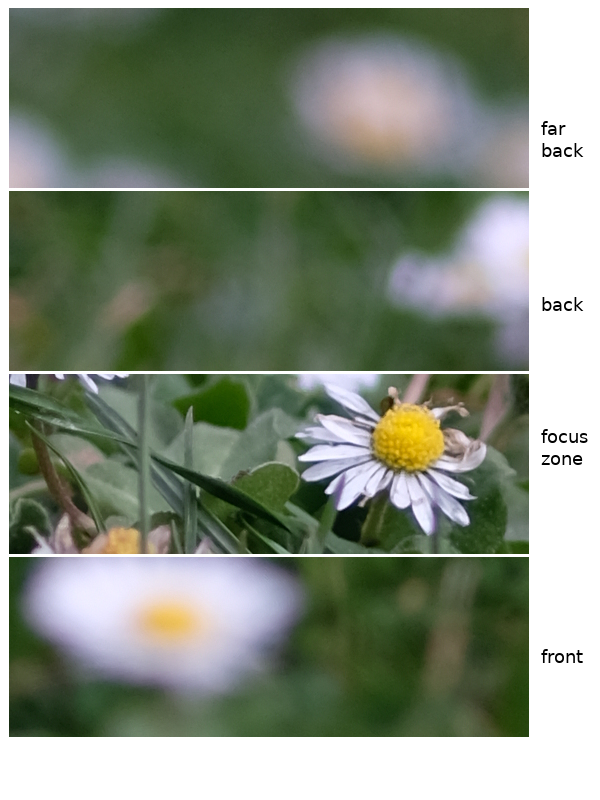 bokeh of the Zeiss Sonnar 85mm f/2.8, at f/2.8
