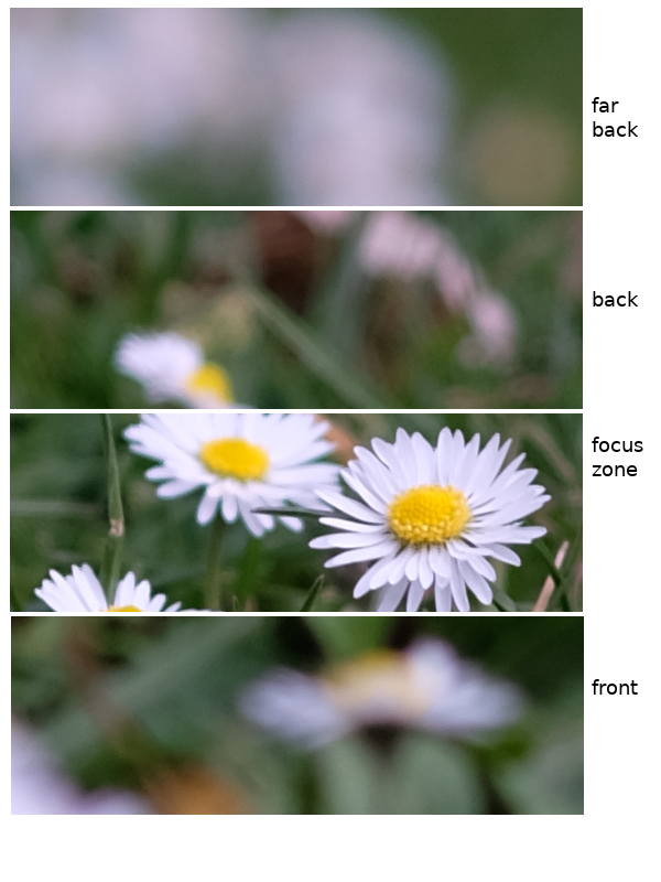 bokeh of the Zeiss Sonnar 85mm f/2.8, at f/4