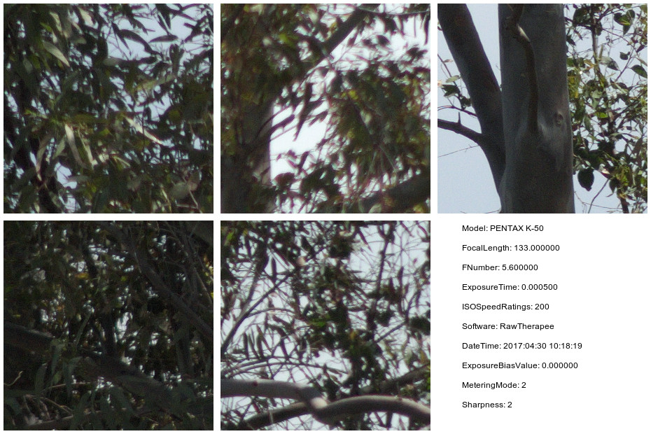 Tamron lens test, full crop