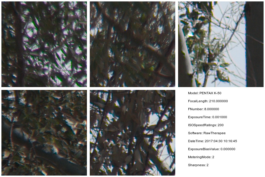 Tamron lens test, full crop