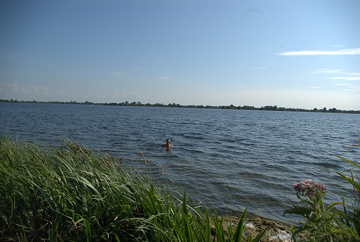 Holland: bath in the lake, in the National Park / Olanda: bagno nel lago del parco nazionale