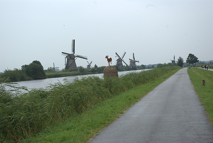 Kinderdijk: the windmills in a row / i mulini a vento in fila