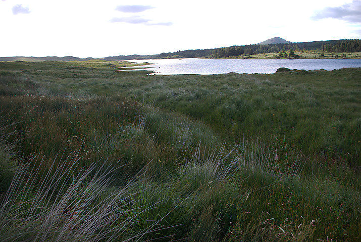 Connemara: panorama dalla N57