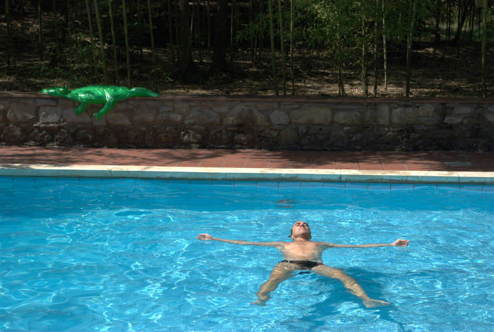 Villa La Nussa: la piscina nel piccolo parco