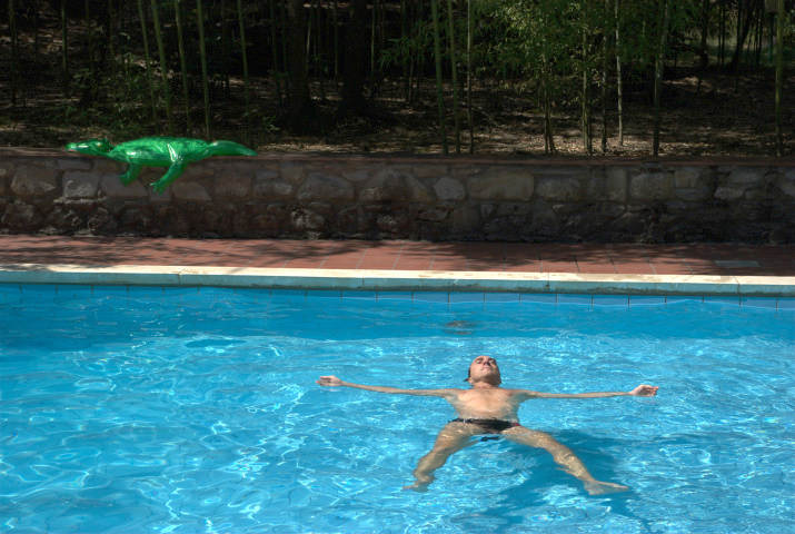 Villa La Nussa: la piscina nel piccolo parco