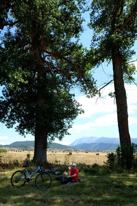 la sosta sotto gli alberi