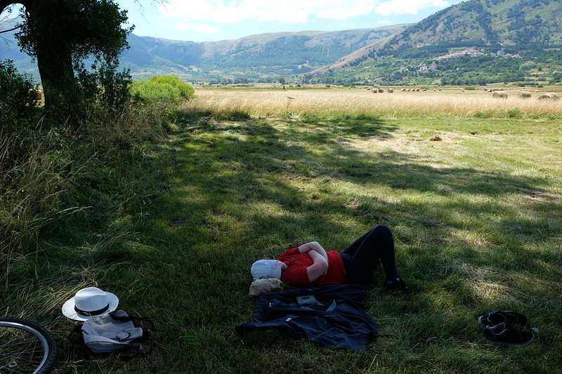 la sosta sotto gli alberi