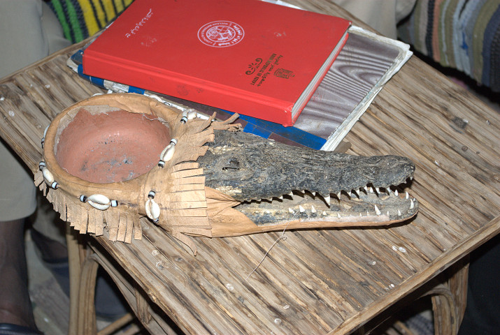 posacenere prodotto con la testa di un coccodrillo